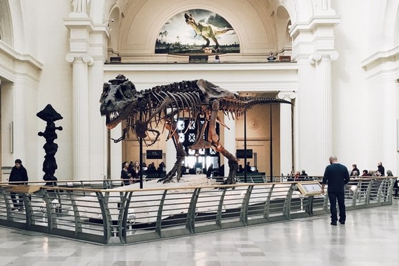 T-Rex Display. May or may not come alive at night.